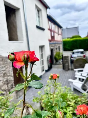 Ein Garten an der Unterkunft Fachwerkhaus Rosengärtchen by Vulkaneifel-Chalets