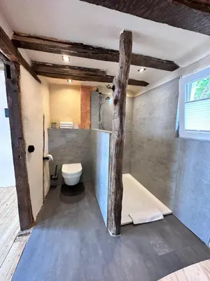 Ein Badezimmer in der Unterkunft Fachwerkhaus Rosengärtchen by Vulkaneifel-Chalets