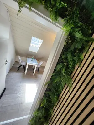 Ein Garten an der Unterkunft Ferienwohnung Friedland