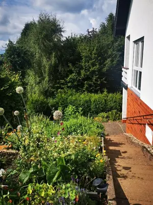 Ein Garten an der Unterkunft Ferienwohnung Kisselbach