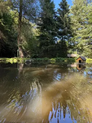Naturlandschaft in der Nähe der Ferienwohnung