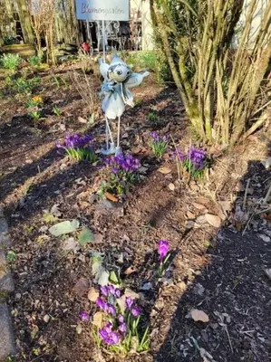 Ein Garten an der Unterkunft Haus Blumengarten