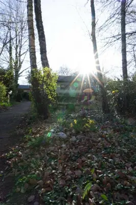 Ein Garten an der Unterkunft Haus Im Wiesengrund EG