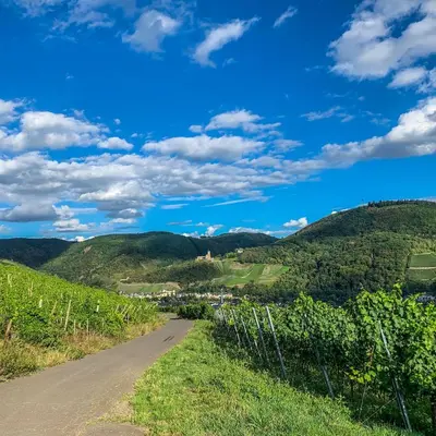 Naturlandschaft in der Nähe der Ferienwohnung