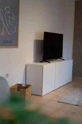 TV/Unterhaltungsangebot in der Unterkunft Ferienhaus 