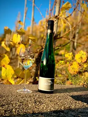 Getränke in der Unterkunft Winelicious - Arrive & Enjoy
