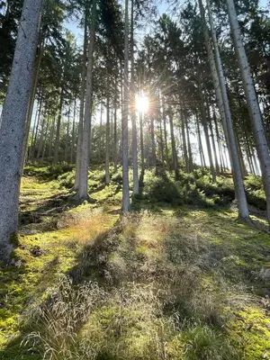 Naturlandschaft in der Nähe der Zelt-Lodge