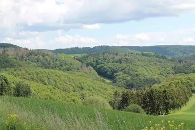 Naturlandschaft in der Nähe der Ferienwohnung