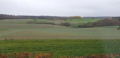 Naturlandschaft in der Nähe der Ferienwohnung