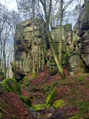 Naturlandschaft in der Nähe des Ferienhauses
