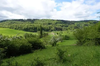 Naturlandschaft in der Nähe des Ferienhauses