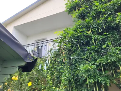 Ein Garten an der Unterkunft Ferienwohnung Bücherkiste