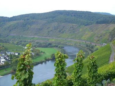 Naturlandschaft in der Nähe der Ferienwohnung