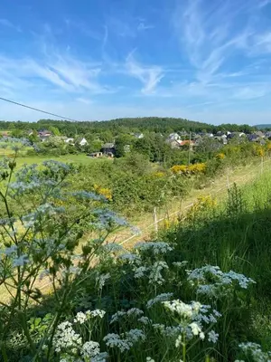 Naturlandschaft in der Nähe des Ferienhauses