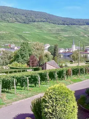Naturlandschaft in der Nähe der Ferienwohnung