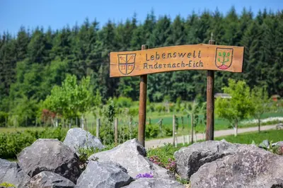 Naturlandschaft in der Nähe der Ferienwohnung
