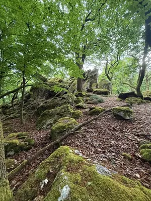 Naturlandschaft in der Nähe des Ferienhauses