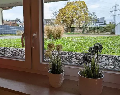 Ein Garten an der Unterkunft Abendsonne Apartments
