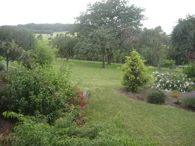 Naturlandschaft in der Nähe des Ferienhauses