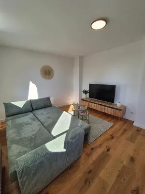 TV/Unterhaltungsangebot in der Unterkunft Sanierte Altbauwohnung mit Arbeitszimmer & Parkplatz am Rhein