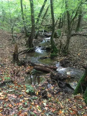Naturlandschaft in der Nähe des Ferienhauses