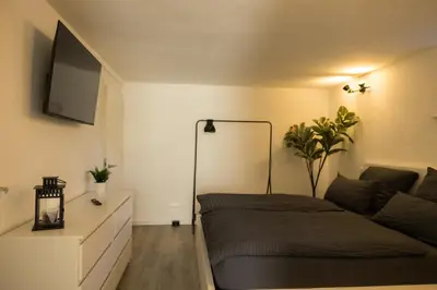 TV/Unterhaltungsangebot in der Unterkunft Moderne und gemütliche Ferienwohnung in Holzbach