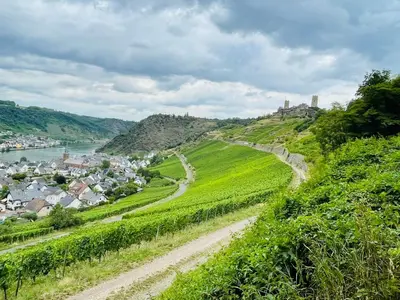 Naturlandschaft in der Nähe der Ferienwohnung