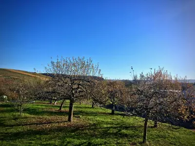 Naturlandschaft in der Nähe der Ferienwohnung
