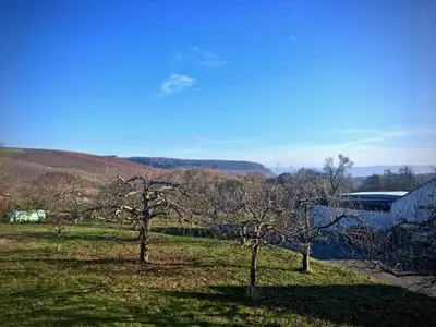Naturlandschaft in der Nähe der Ferienwohnung