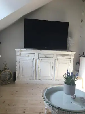 TV/Unterhaltungsangebot in der Unterkunft Historisches Designer Loft Namaste
