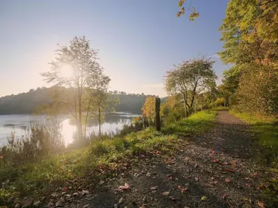 Naturlandschaft in der Nähe des Ferienhauses