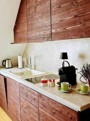 Küche/Küchenzeile in der Unterkunft Ferienapartment Schauinsland