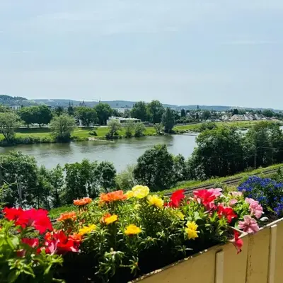Spacious 72 sqm Moselblick apartment & top connection