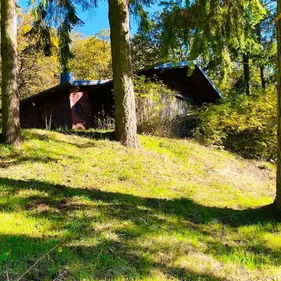 Waldhütte mit Weitblick