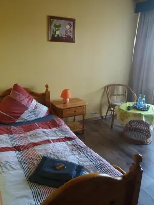 Ein Bett oder Betten in einem Zimmer der Unterkunft Haus Hochwaldhöhe