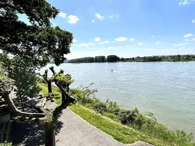 Naturlandschaft in der Nähe der Ferienwohnung