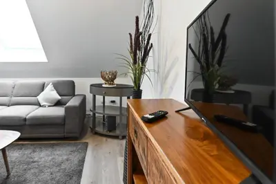 TV/Unterhaltungsangebot in der Unterkunft Charming apartment in Miesenheim