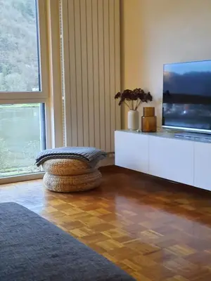 TV/Unterhaltungsangebot in der Unterkunft Ferienwohnung Grüne Boje