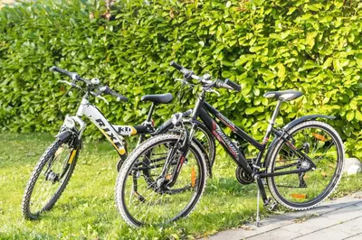 Radfahren an der Unterkunft Wellness Lakehouse mit Sauna, Whirlpool in der Natur oder in der Nähe