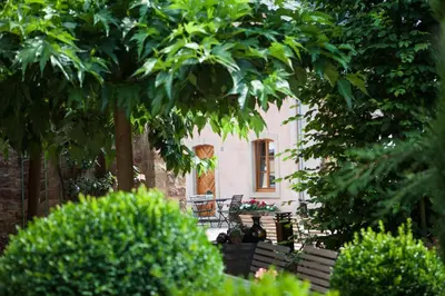 Ein Garten an der Unterkunft Weingut & Gästehaus GiwerGreif