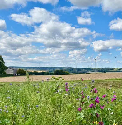 Naturlandschaft in der Nähe der Ferienwohnung