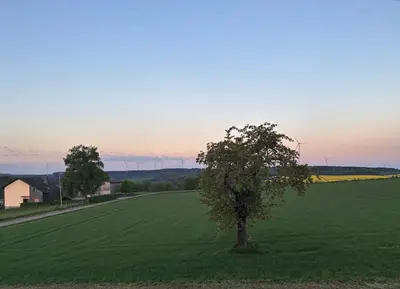 Naturlandschaft in der Nähe der Ferienwohnung