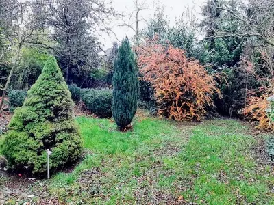 Ein Garten an der Unterkunft Eifel Garden Villa for Groups