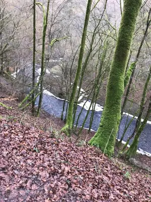Naturlandschaft in der Nähe der Ferienwohnung
