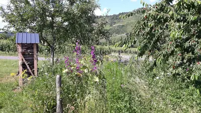 Naturlandschaft in der Nähe der Ferienwohnung