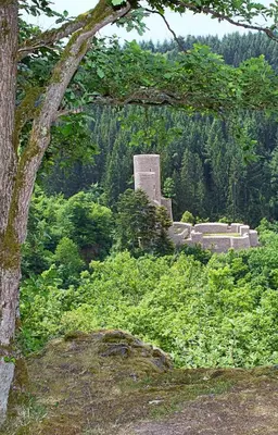Naturlandschaft in der Nähe der Ferienwohnung