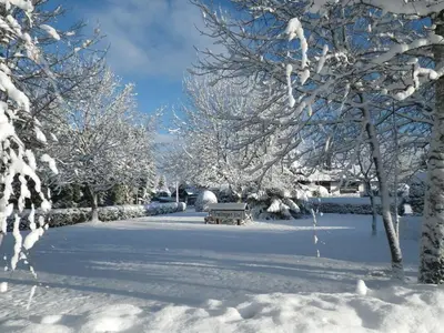 Holiday home in Blankenheim with Wi-Fi im Winter