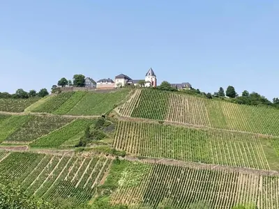 Grundriss der Unterkunft Pünderich Castle View