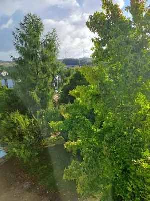 Naturlandschaft in der Nähe der Ferienwohnung
