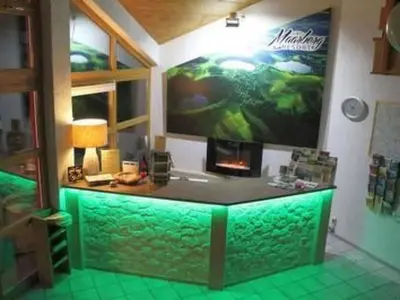 TV/Unterhaltungsangebot in der Unterkunft Apartment Maaridyll in Schalkenmehren by Interhome